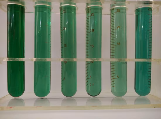 ディーゼルおよび油脂用の高純度青色染料